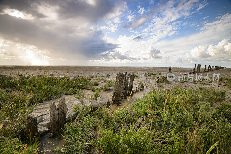 在荷兰北部的瓦登海自然保护区“de Wadden”中，古老的土地开垦柱在空旷的景观中排成一排